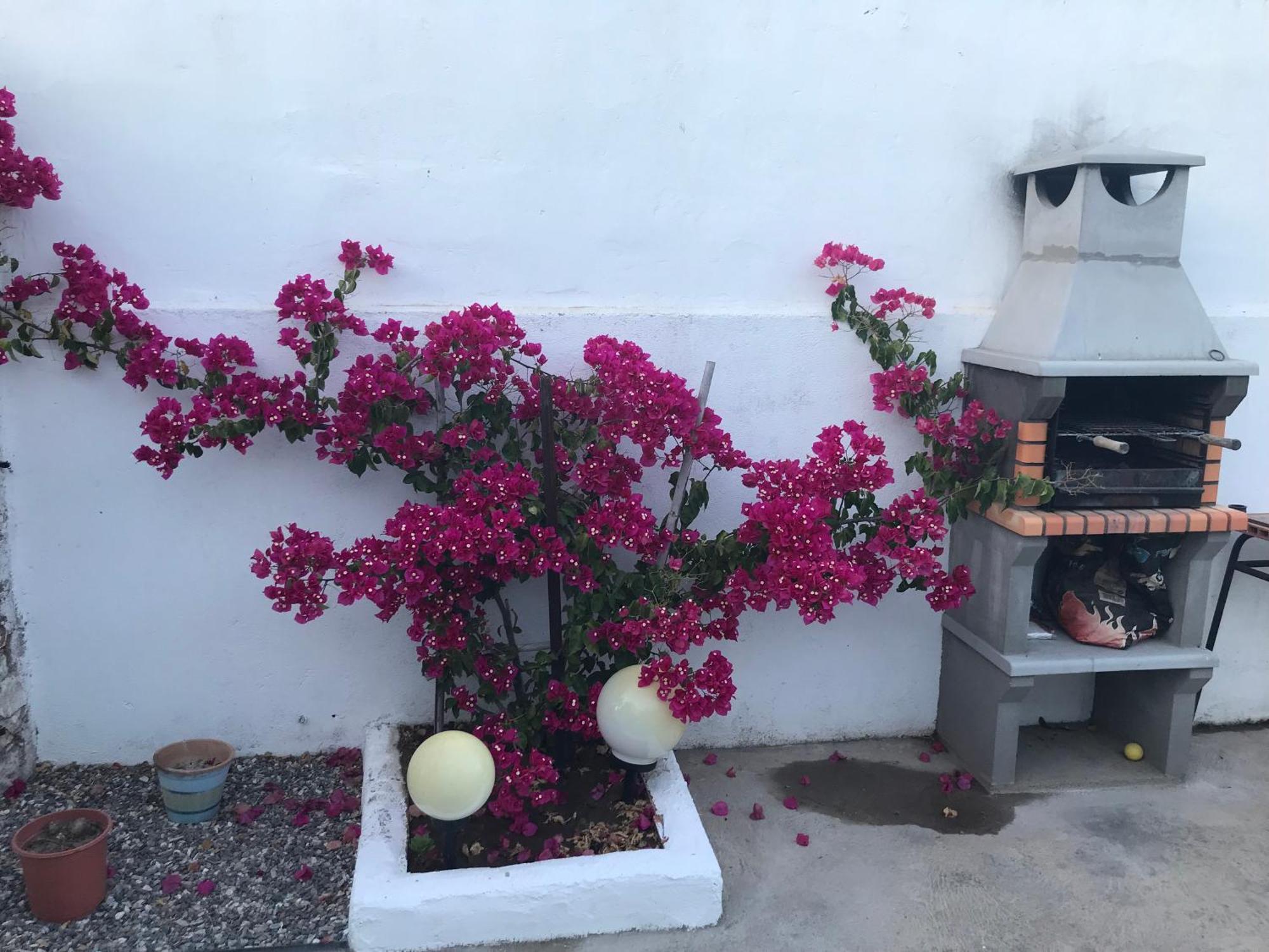 피아스 Casa Santo Antonio 아파트 외부 사진